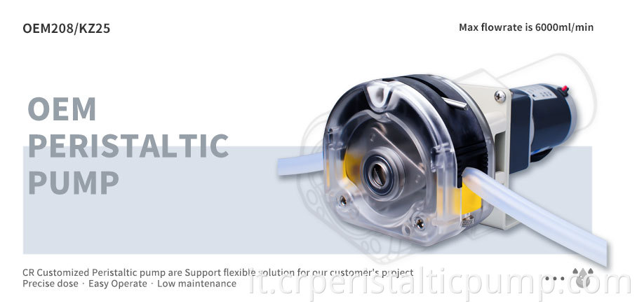 Supporting Peristaltic Pump
